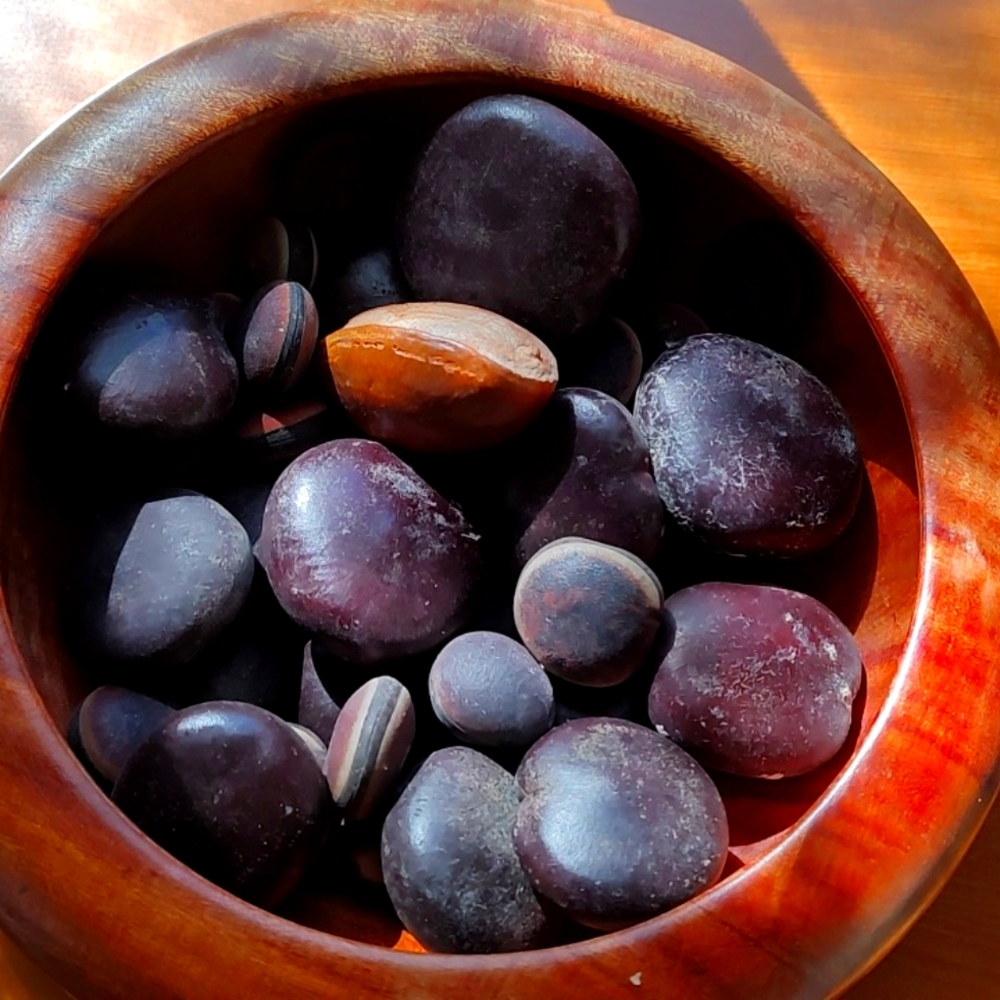 Wooden Bowl and Lucky Sea Beans